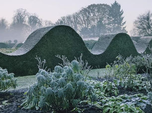 Beauty sleep in the garden's winter beds