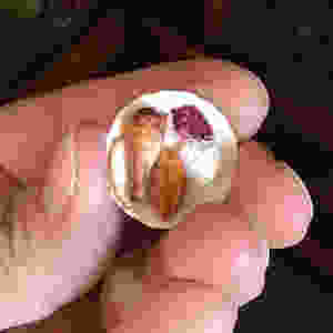 Kim Clough Fairchild Miniatures