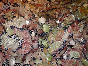 Ireland | Shell House Talks