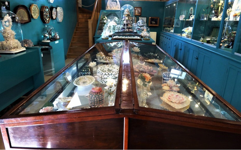 Peter Coke's Shell Museum | Shell House Talks