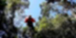 poda-de-arvores-3