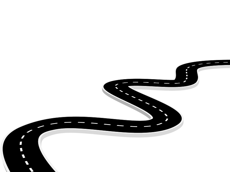 Development Milestones (1).png