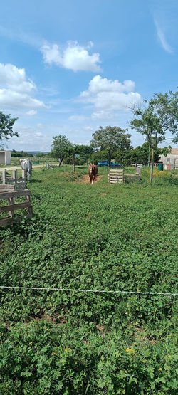 470178595_1098215305648221_1523093317919782246_n