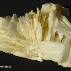 Barytine crêtée blanche.