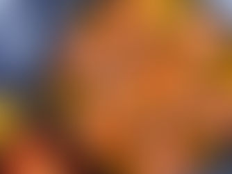 Paella de Marisco (Seafood Paella)