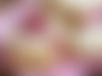 Cranberry Rosemary Shortbread Cookies