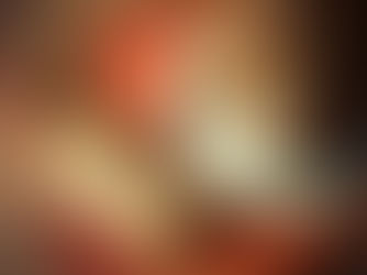 Chocolate Chip Panettone