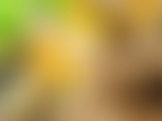 Ginger Pony Cocktail