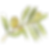 IanMikraz-Watercolor-Olive-Illustration-Graphics-05.png