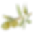 IanMikraz-Watercolor-Olive-Illustration-Graphics-10.png