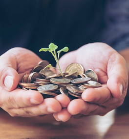 financial-planner-hand-holding-coin-stack-growing-2026-06-05-21-58-51-utc.jpg