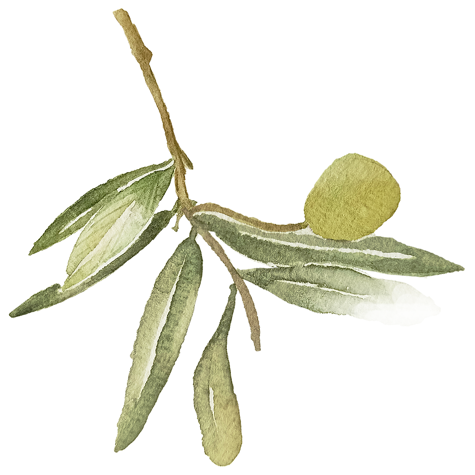 IanMikraz-Watercolor-Olive-Illustration-Graphics-08.png