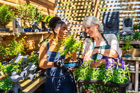 garden-center-workers-discussing-about-bonsai-tree-2025-08-11-11-12-51-utc.jpg