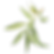 IanMikraz-Watercolor-Olive-Illustration-Graphics-03.png