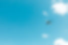 shutterstock_2303277239_edited.jpg