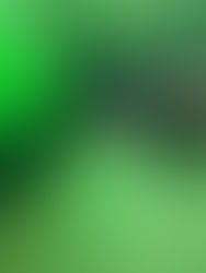 JDK Cleaning Enjoys Another Year of Unprecedented Growth