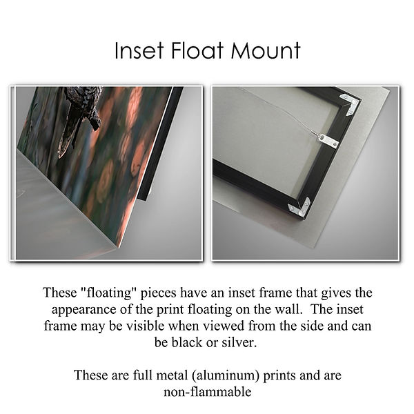 Theater Lobby Display Options 004 (Side 4).jpg