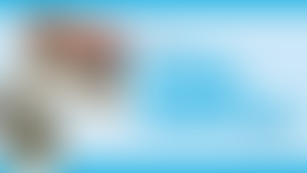 Images of catering food setups with accompanying article title, Tips for Holiday Restaurant Success