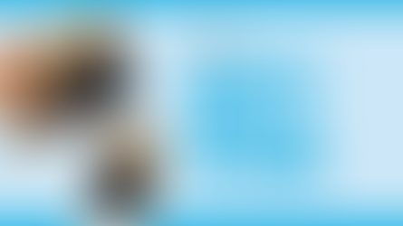 Title graphic reading 'An Independent's Guide to Catering' with photos of drivers and employees in a restaurant