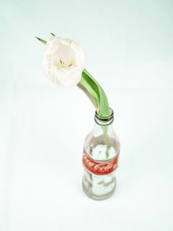 Coke_flower_up.jpg