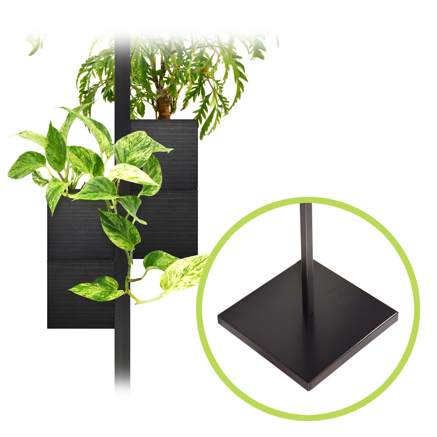 Floor stand + 4 Capill'O Cubes pack