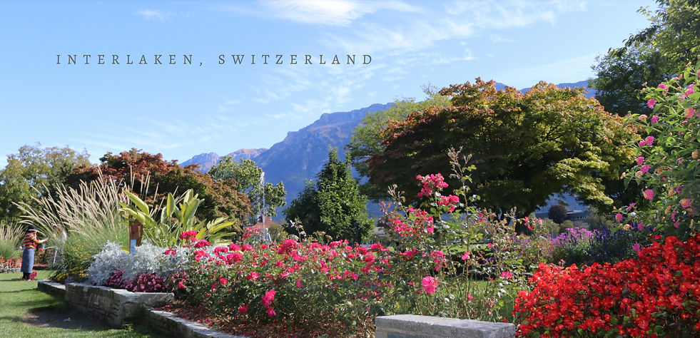 Screen Shot 2020-04-15 at 11.57.43 AM.pn