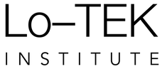 Instituto LoTEK.png
