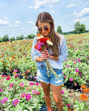 zinnia picking