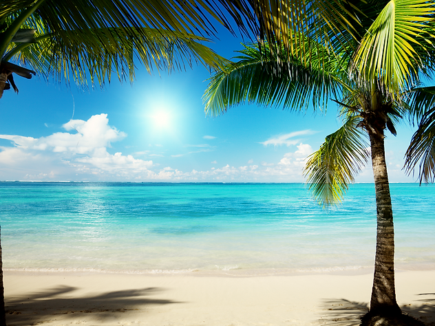 beach.png