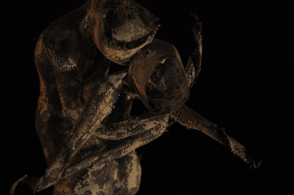 Dance Me to the End of Love