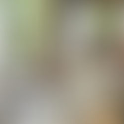 關於那一次的小雨林靜心湯旅