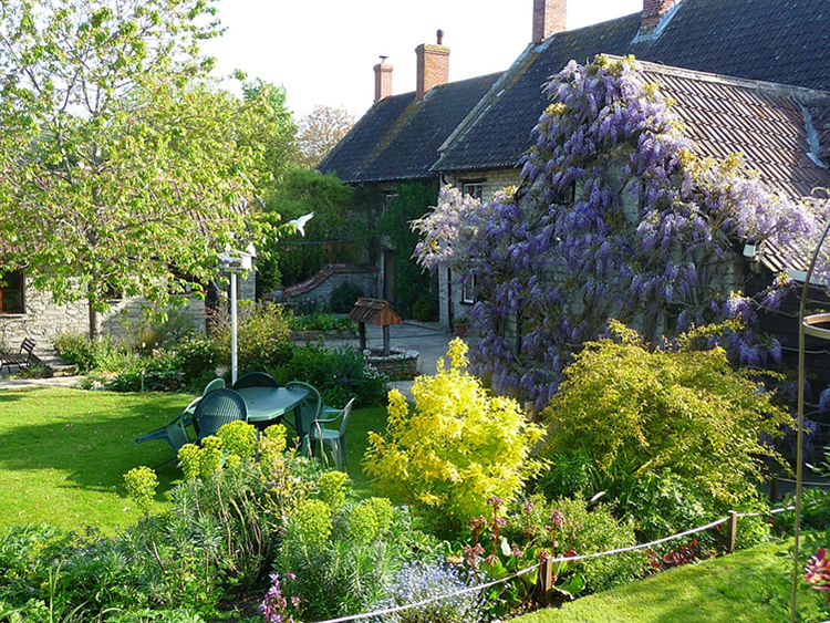 New Year Elixir Retreat