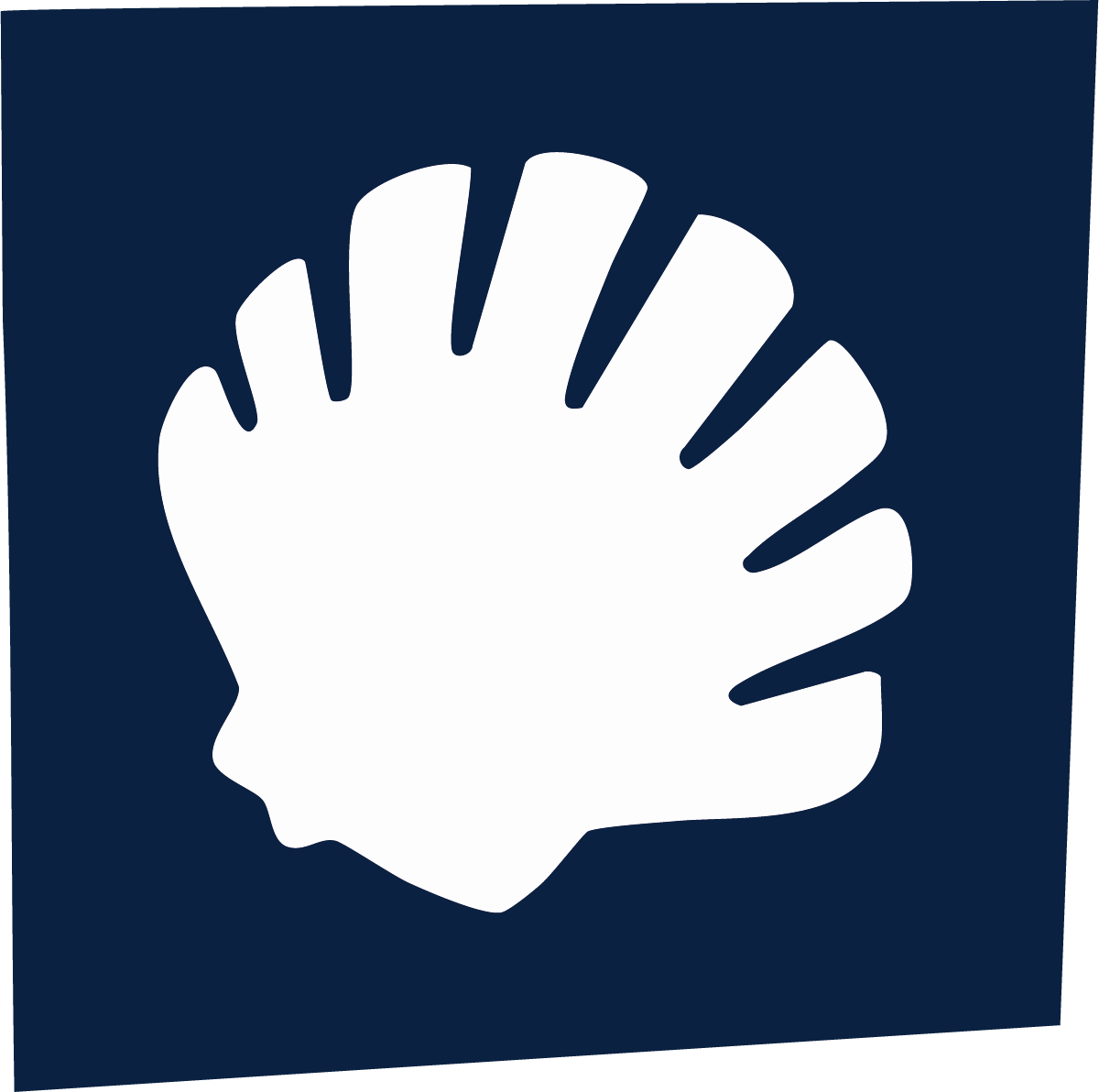 sjb shell.png