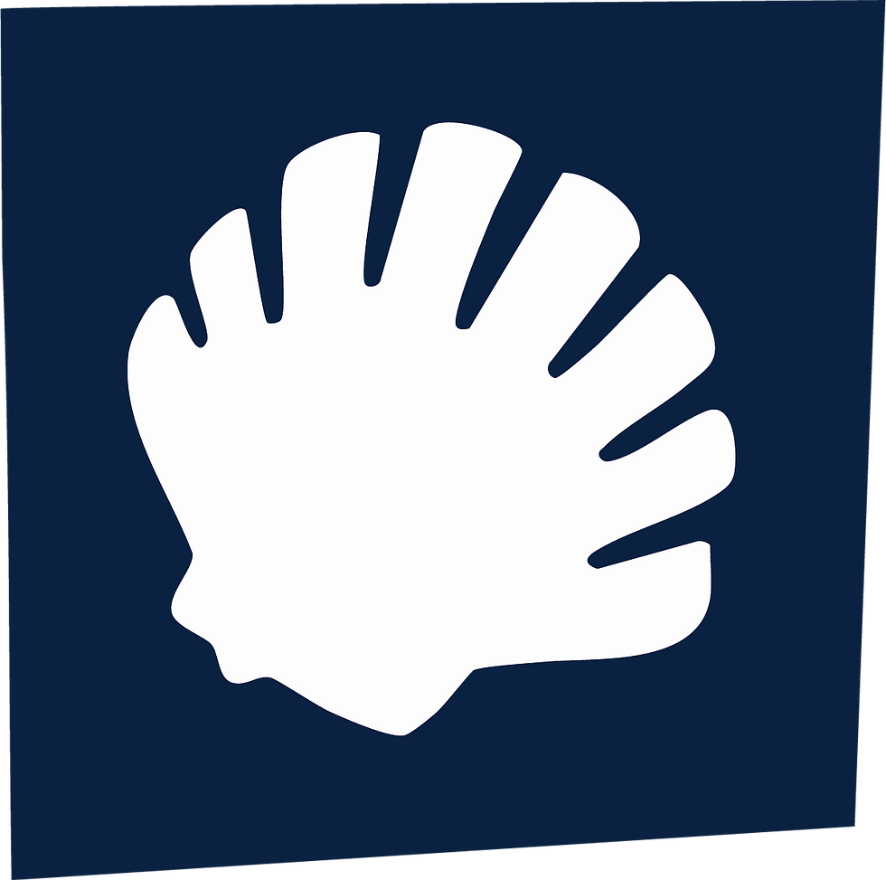 sjb shell.png