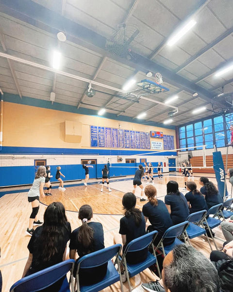 shs volleyball.jpeg