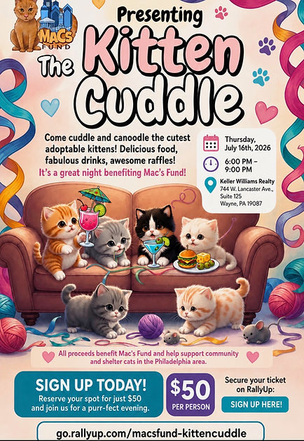 KITTEN CUDDLE FLYER DATED.JPEG