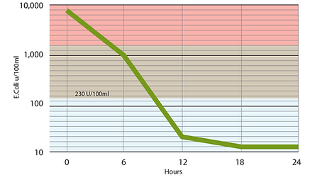 Shellfish Depuration with the VAL graph results