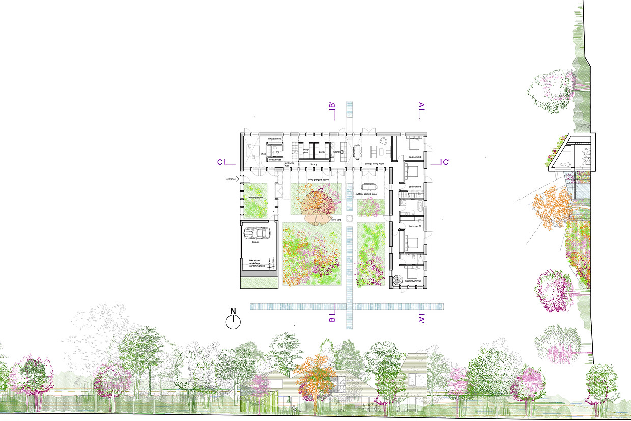 plan and elevations.jpg