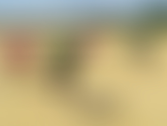 Tấm bạt phơi lúa vá chằng chịt của mẹ!