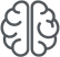 Brain.png