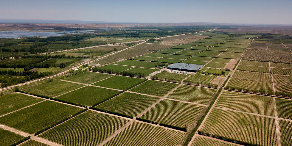 Bodega Del Fin Del Mundo z lotu ptaka