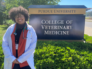 Indiana Faces Critical Veterinarian Shortage: Purdue Struggles to Meet Demand as Rural Areas and Food Production Feel the Strain