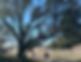 unnamed.png