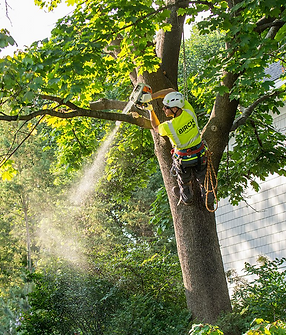 Screen Shot 2023-03-01 at 6.19.30 PM.png