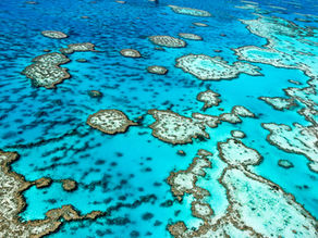 “LAW” v “LORE” - THE EROSION OF NATIVE TITLE IN THE SEA COUNTRIES OF THE GREAT BARRIER REEF