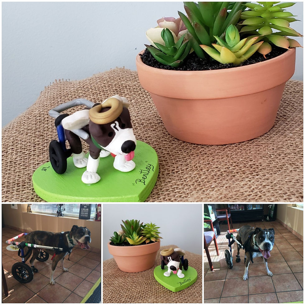 thumbnail_20210414_105750