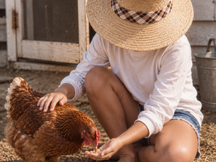 Playing with the chickens.