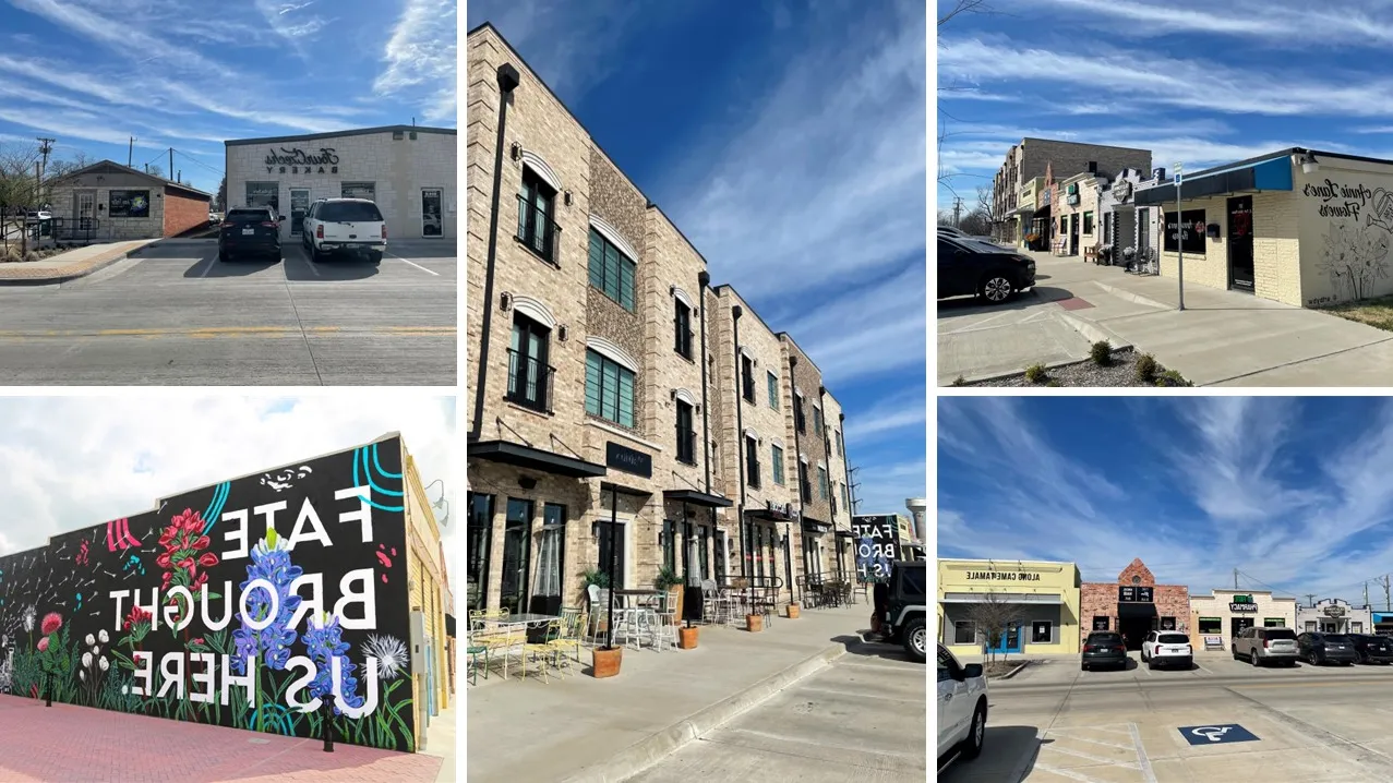 Level Up Pest Control Fate Pest Control Rockwall Pest Control