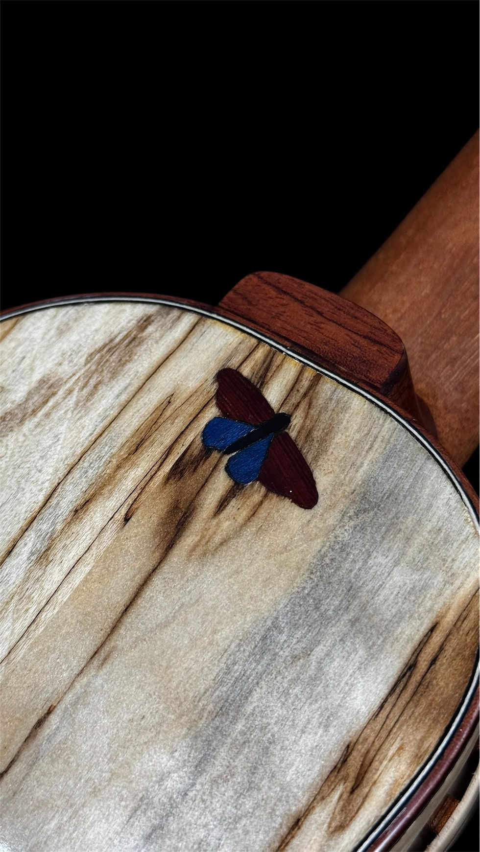 Thumbnail: Soprano ukelele ‘Papillon’