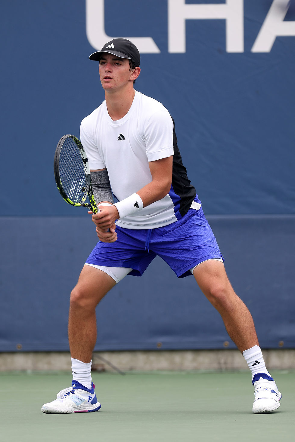 Matteo Berrettini.jpg